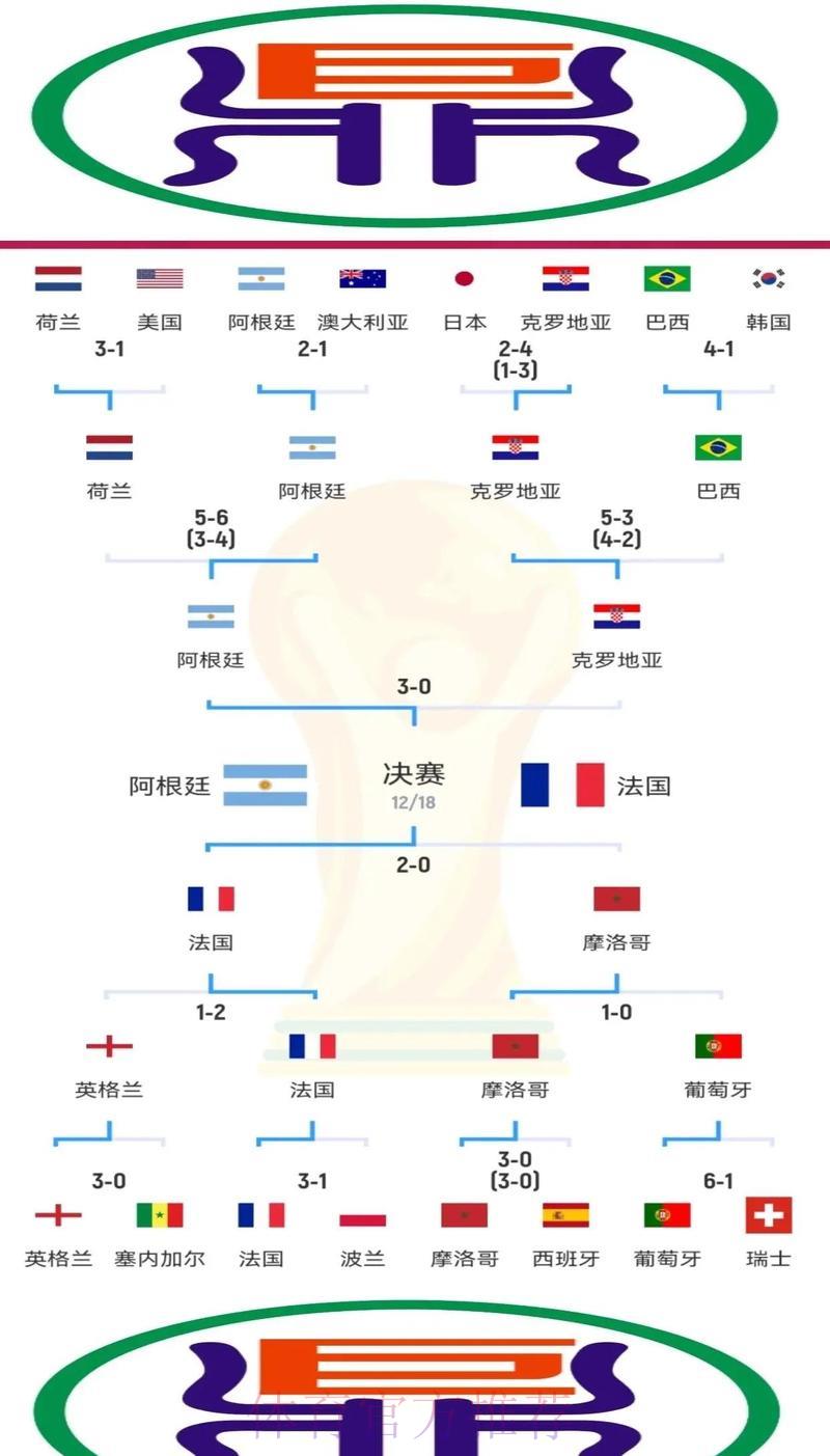 世界杯各队征战历程深度解析